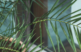 Our spa is closed | 18 - 26 December
