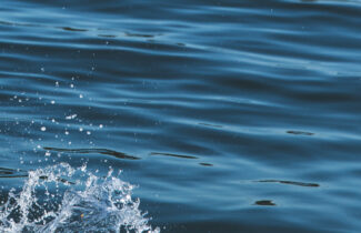 A CELEBRATION OF THE OCEAN
